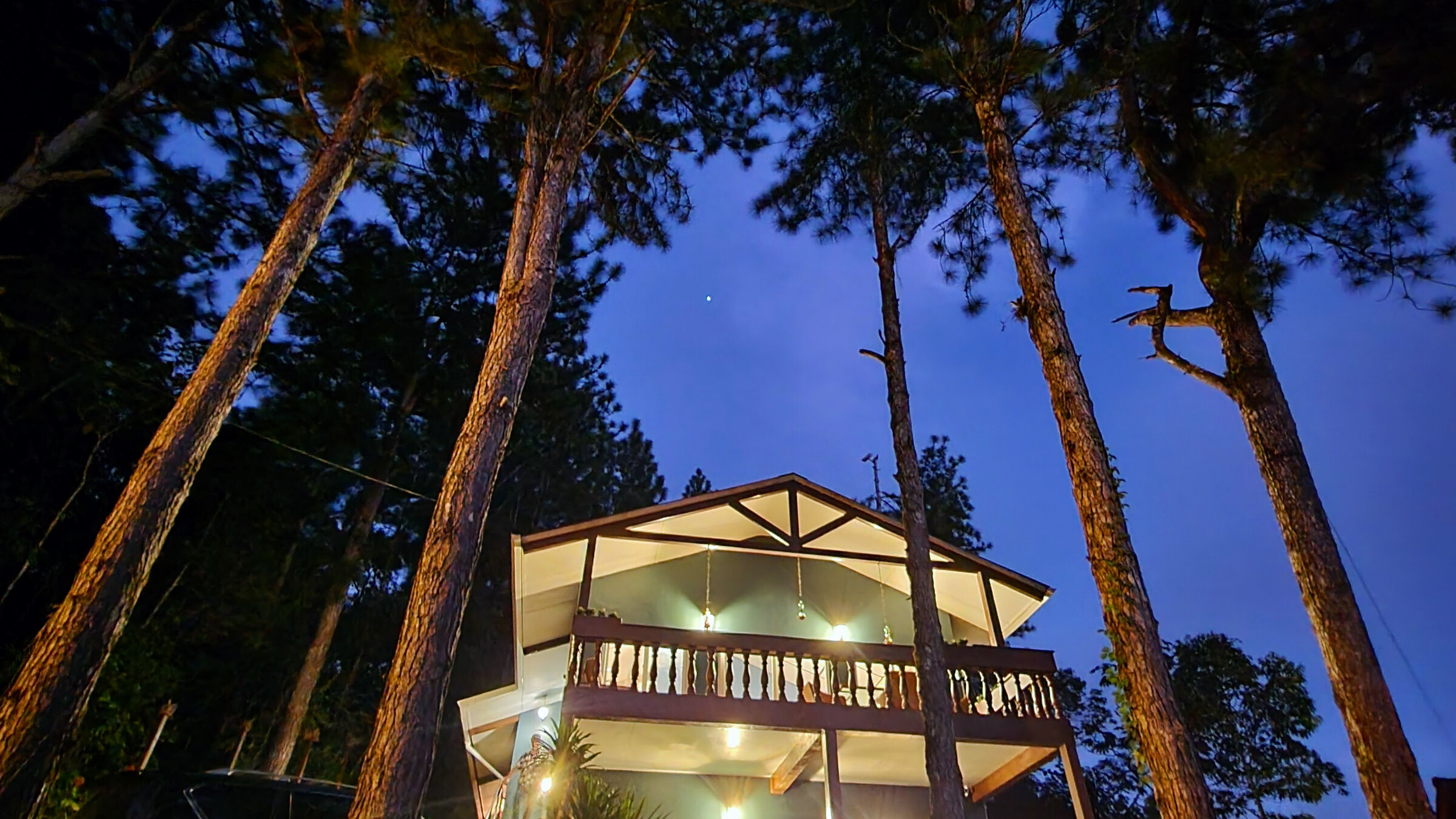 The Bird's Nest lodge at dusk among the pines of Cerro Azul